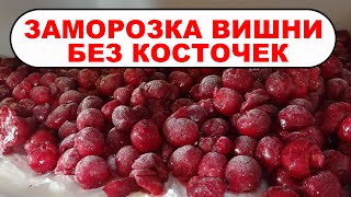 Как заморозить вишню на зиму без косточек и с ними. Заморозка вишни на зиму для пирогов и компотов.
