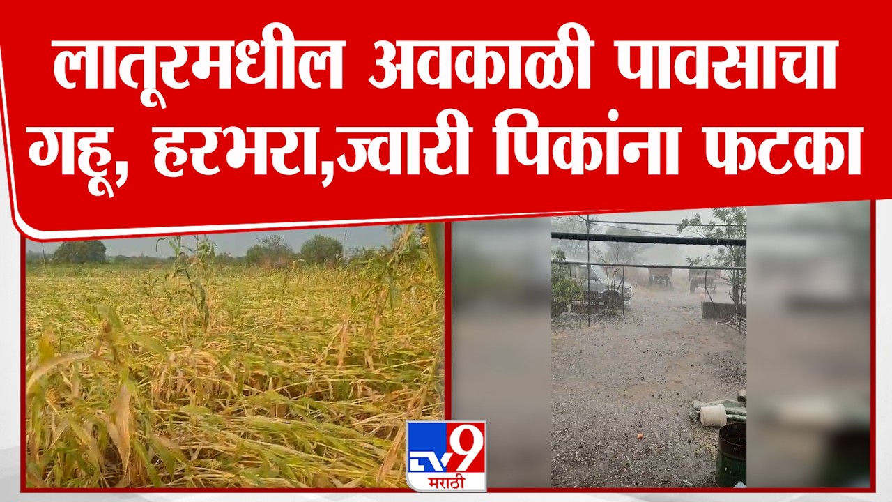 Latur Unseasonal Rain | लातूरमधील अवकाळी पावसाचा गहू, हरभरा,ज्वारी पिकांना फटका, शेतकऱ्याचे नुकसान