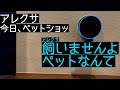 アレクサがお節介な母親ヅラしてきた