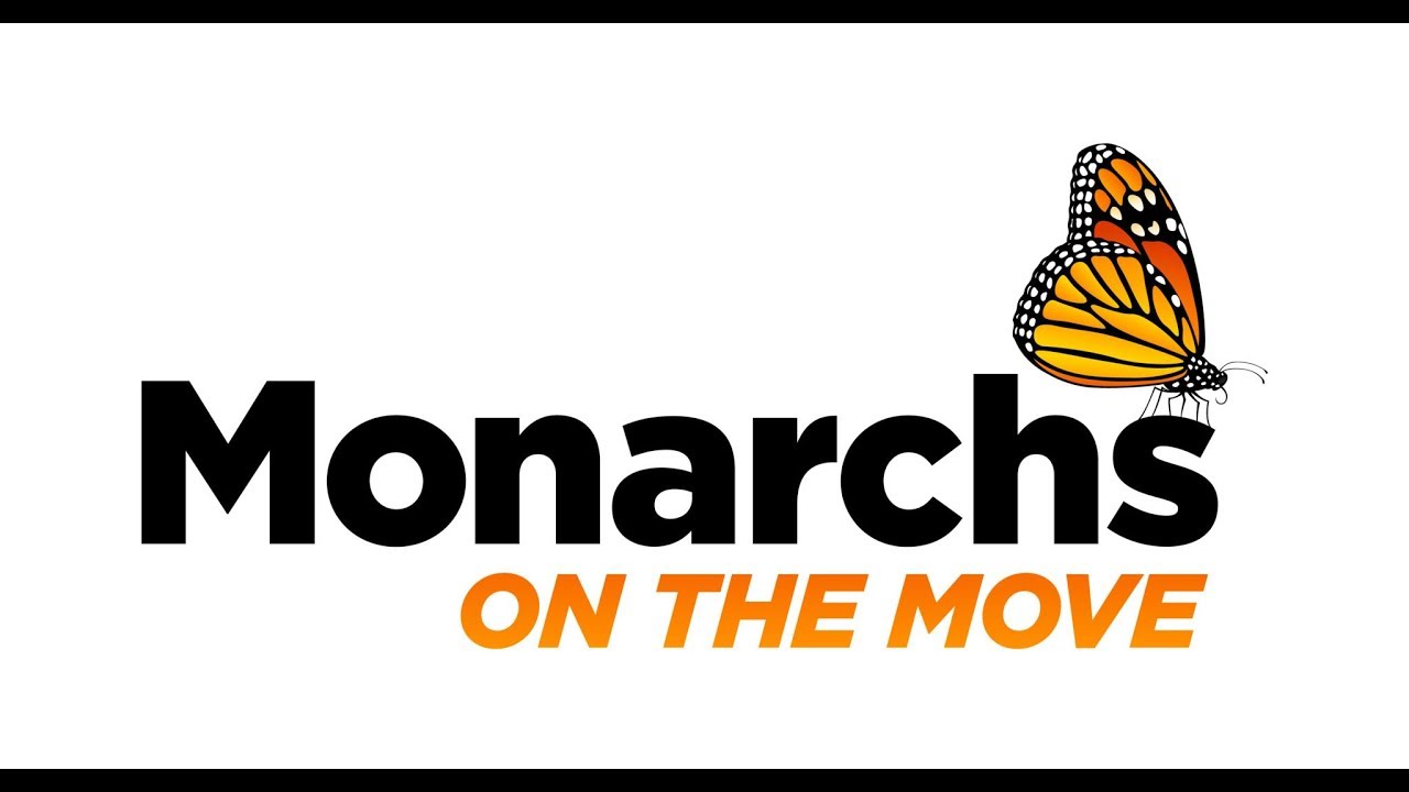outreach traduccion Monarchs on the Move