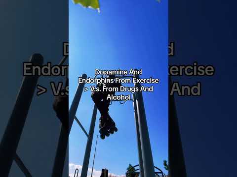 Dopamine And Endorphins From Exercise V S From Drugs And Alcohol Dopamine Endorphins Exercise