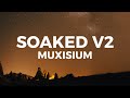 Muxisium ft. Shy Smith - Soaked V2 (TikTok remix)
