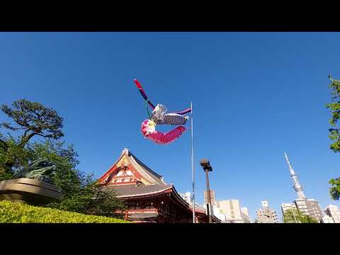 はためく こいのぼり🎏20210426