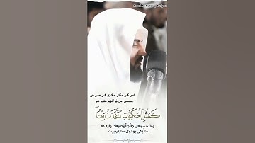 Raad Al kurdi Whatsapp status 2023 / رعد الكردي حالات واتس اب / سورة العنكبوت رعد بن محمد الكردي