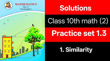 ✅ Class 10 Maths Part 2 | Practice Set 1.3 | Similarity | Solutions | Maharashtra Board