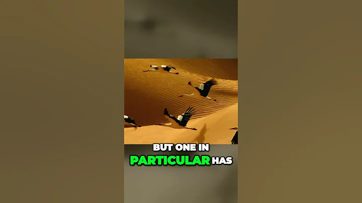 Discovering Algeria: A Journey Through Time and Algiers #algeria #dz #algerie #views #nature