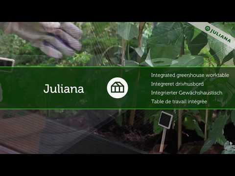 Video: Voksende ægplanter I Drivhuse