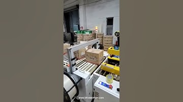 Automatic flip top box tape sealing machine with PP belt strapping packing machine