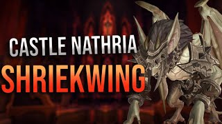 Shadowlands - Castle Nathria Shriekwing Testing w/ Logs! Destro, Demo and Aff POV!