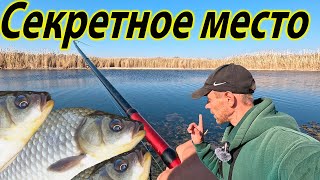 видео: КРУПНЯК НА УДОЧКУ КАРАСИ АТАКУЮТ ТОП РЫБАЛКА НА КАРАСЯ В САРАТОВЕ #рыбалка2025 #карасьнаудочку картинка: КРУПНЯК НА УДОЧКУ КАРАСИ АТАКУЮТ ТОП РЫБАЛКА НА КАРАСЯ В САРАТОВЕ #рыбалка2025 #карасьнаудочку