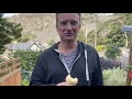 96. Наши курочки.