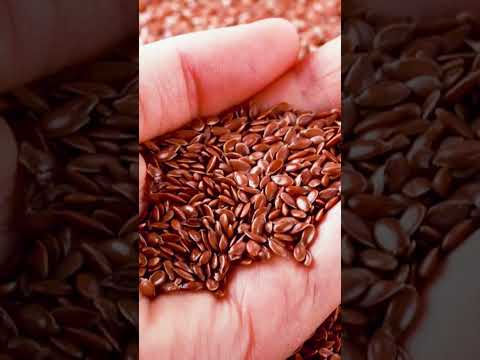 افضل الاطعمة الغنية بالاوميغا 3 مصادر الاوميغا 3