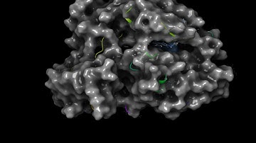 2SRC 30ns molecular dynamics simulation for compound 1