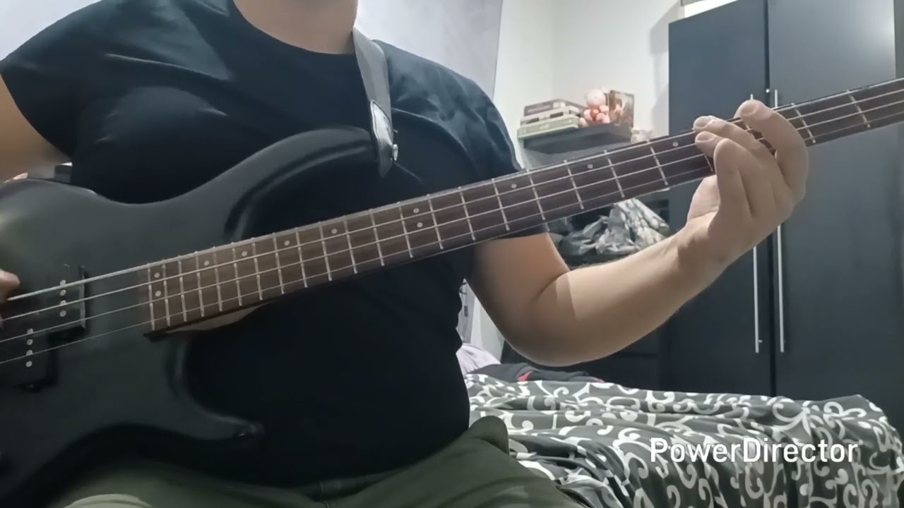 Bush - Swallowed bass cover 