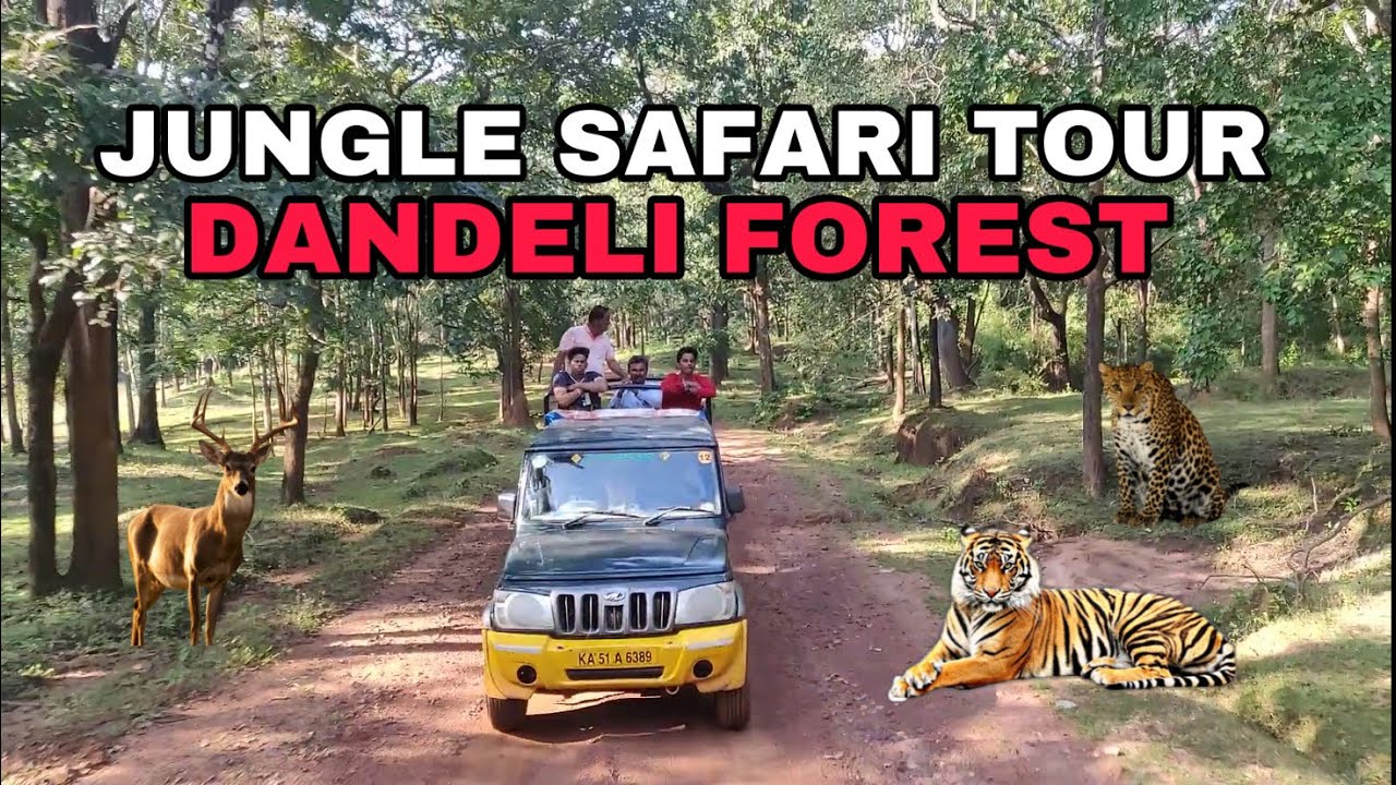 dandeli jungle safari