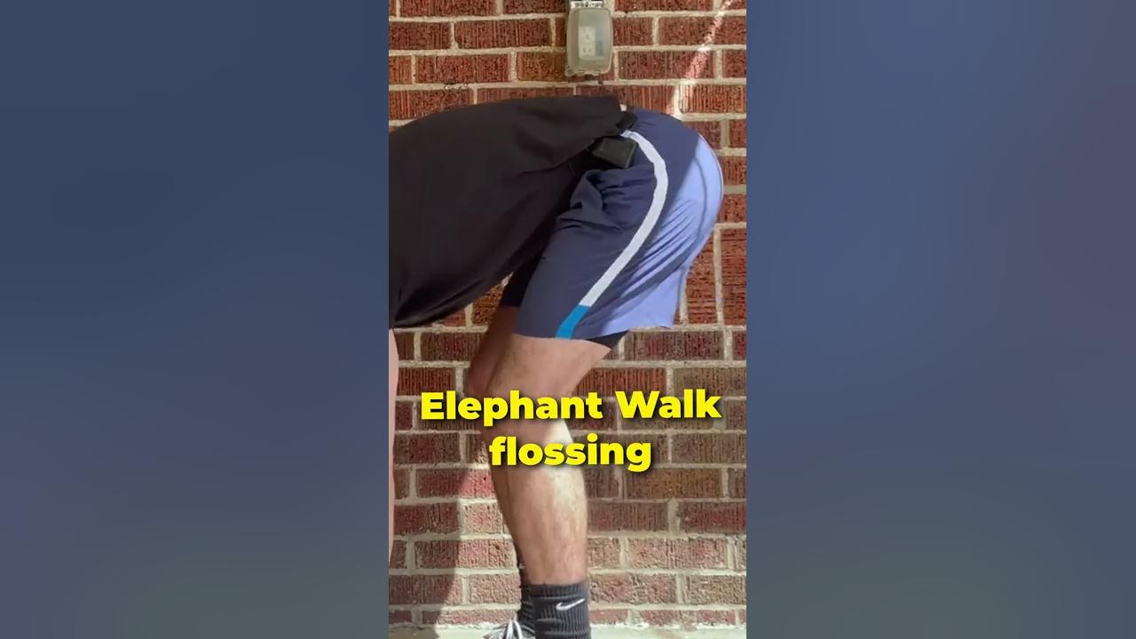 Elephant Walk Exercise The BEST Low Back & Hamstring Stretch YouTube Elephant Walk Exercise The BEST Low Back & Hamstring Stretch YouTube