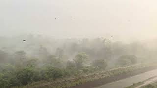 Pre-monsoon rain in Pune 18 May 24 #rain #pune #Maharashtra