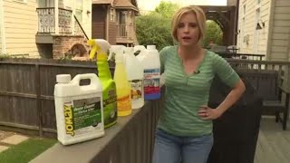 Best products to remove outdoor mold, mildew