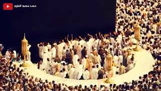 أجمل تكبيرات العيد ٢٠٢٠❣️حالات واتس آب عيد الفطر تهنئة عيد الفطر