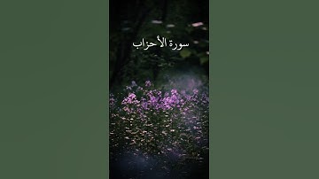 الآية ٥٦ من سورة الأحزاب بصوت القارئ ياسر الدوسري