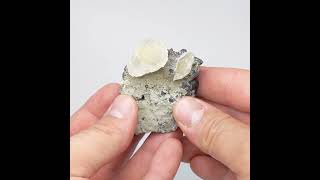 Vidéo: Sphalérite, calcite, Madan, Bulgarie 5,3 cm