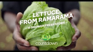 Lettuce from Ramarama | Grower Fresh | Countdown