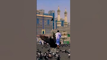 #الحرم_المكي#تلاوة_خاشعة #تلاوة_هادئة#تلاوات#حالات_واتس#المصحف