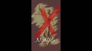 No case (OFFICIAL AUDIO) -N.A.Y.E