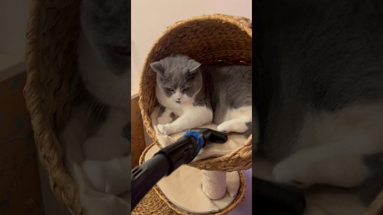 Ik ga dus echt niet aan de kant hoor 😼