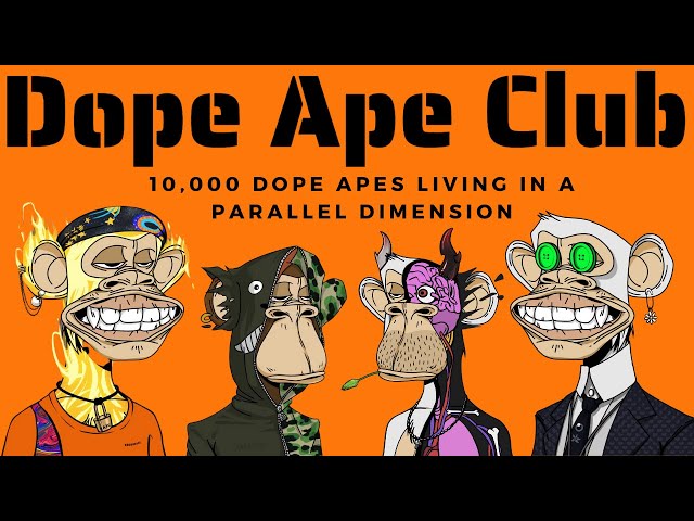 Africa ape paint ♤♡♤♡ - Best of the Best Club crypto NFT ; Ape