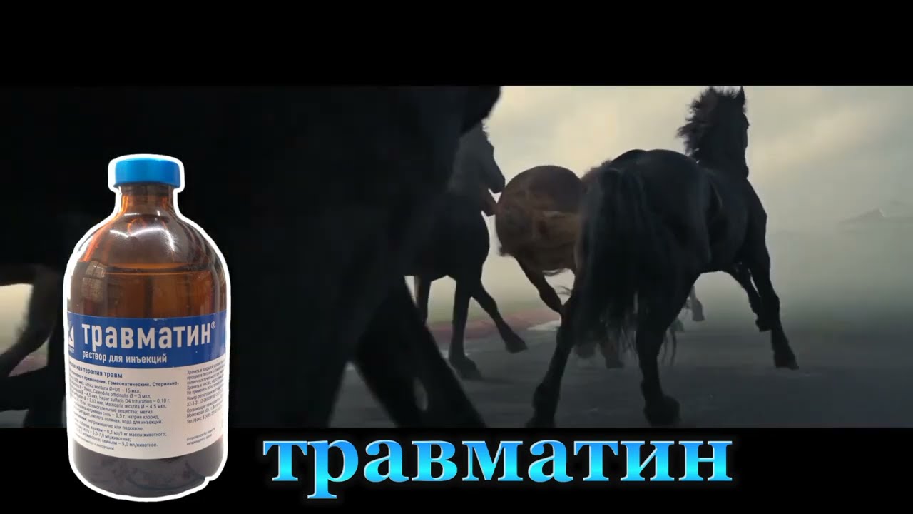 Травматин Ат травма алып , муундары шишип хронический болгондорго жакшы жардам берет.