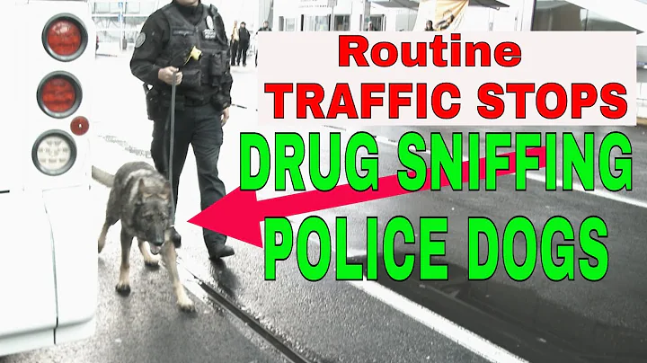 Drug Sniffing Police Dogs Brought in for Routine Traffic Stops - Is This Legal?