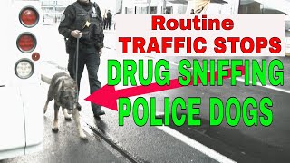 Drug Sniffing Police Dogs Brought in for Routine Traffic Stops - Is This Legal