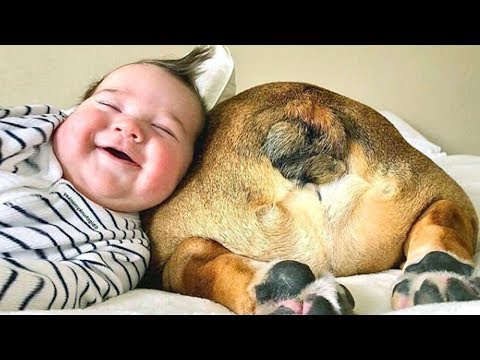 funniest-babies-play-with-dogs-compilation