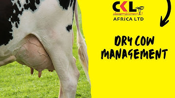 Dry Cow Management