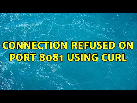 Connection refused on port 8081 using curl
