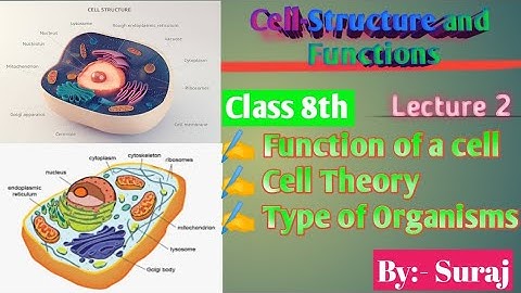 Cell Structure and Functions/Full Chapter Class 8 Science /NCERT Science Class 8/ Science By Suraj