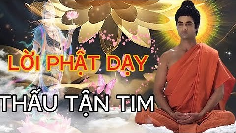 Lời Phật Dạy Thấu Tận Tim: Bỏ Ác Làm Lành Mới Có An Vui, Mặc Kệ Thiên Hạ Nói Gì ! Quá Hay