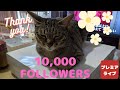 お陰様で10,000人になりました【Thanks to you, we reached 10,000 people.】