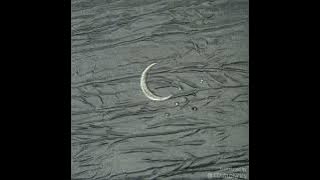 [Original II.4] Lee Sora (이소라) - The wind blows (바람이 분다) [ENG/ESP/KOR lyrics by TDM10]