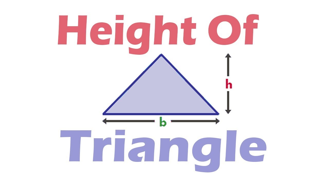 How To Calculate Height Of Triangle? Find Equilateral