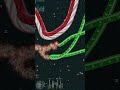 The ending was INSANE 😱🐍Watch till the last second to see this EPIC Wormate.io moment!#shorts