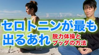 セロトニンを最も増やす方法はあれ！【毎日やった結果幸せです】結局ブッダ！