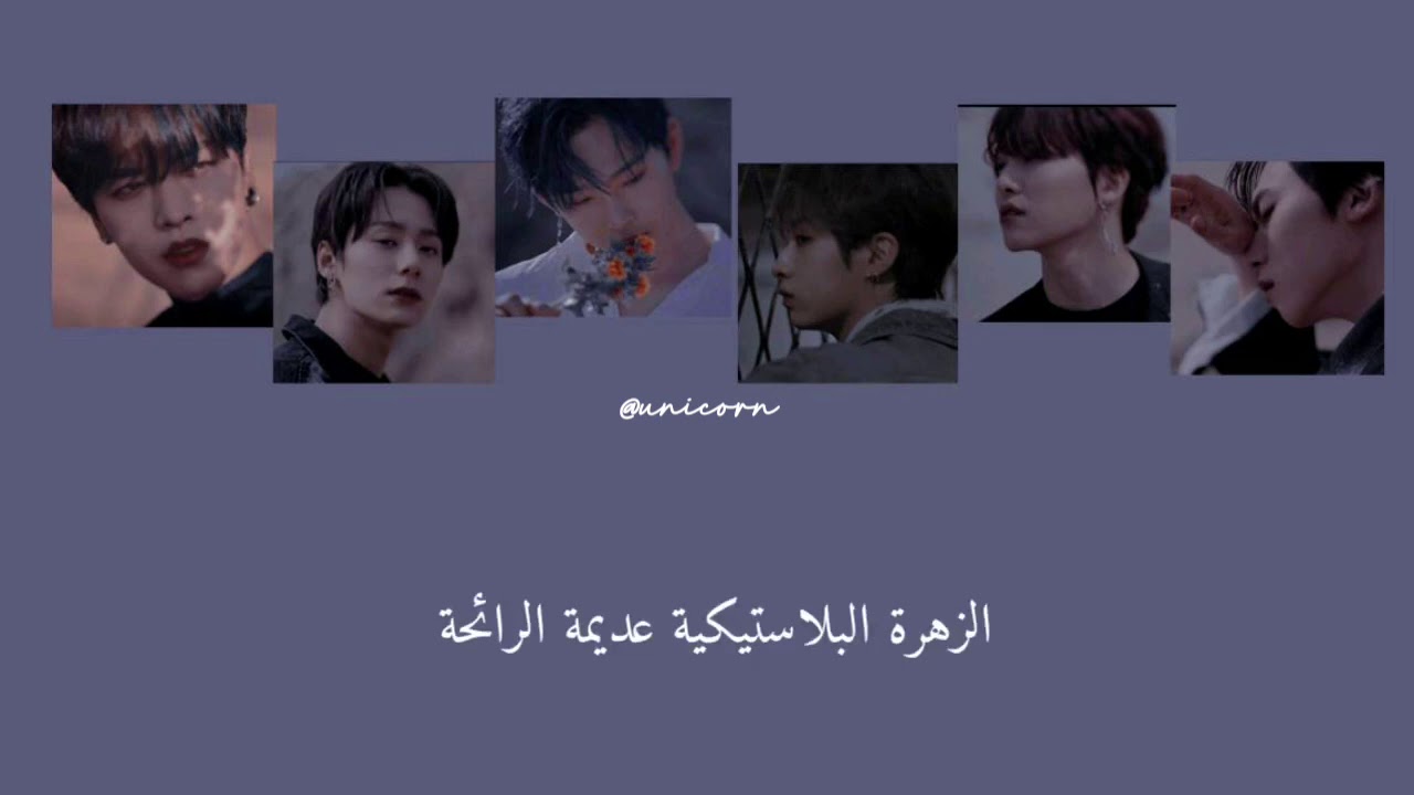 ONEUS Plastic Flower Arabic Sub مترجمة YouTube