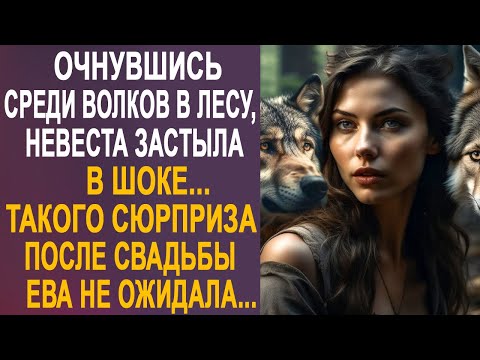 Очнувшись среди волков в лесу, невеста застыла в шоке. Такого сюрприза после свадьбы она не ожидала.