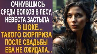 Очнувшись Среди Волков В Лесу, Невеста Застыла В Шоке. Такого Сюрприза После Свадьбы Она Не Ожидала.