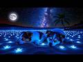 Fall Asleep Fast (No Ads) • Soothe Emotional Pain, Release Tension • Total Body &amp; Mind Renewal4