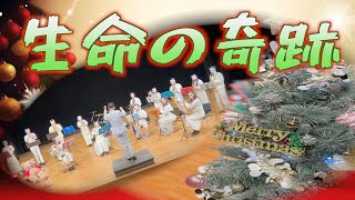 [生命の奇跡]大阪のクリスマスソングといえばUSJで使用されたこの曲！