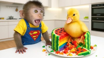 Baby Monkey Discovers Colorful Watermelon Cake with Duckling! | Monkey Momo