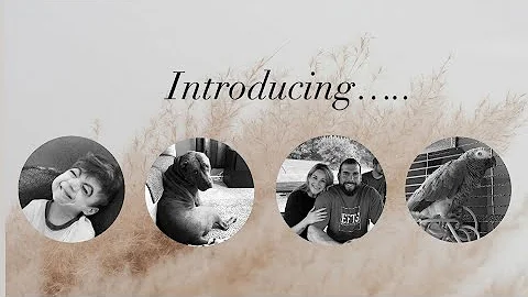 INTRODUCING. Ourselves! For the newcomers ;)